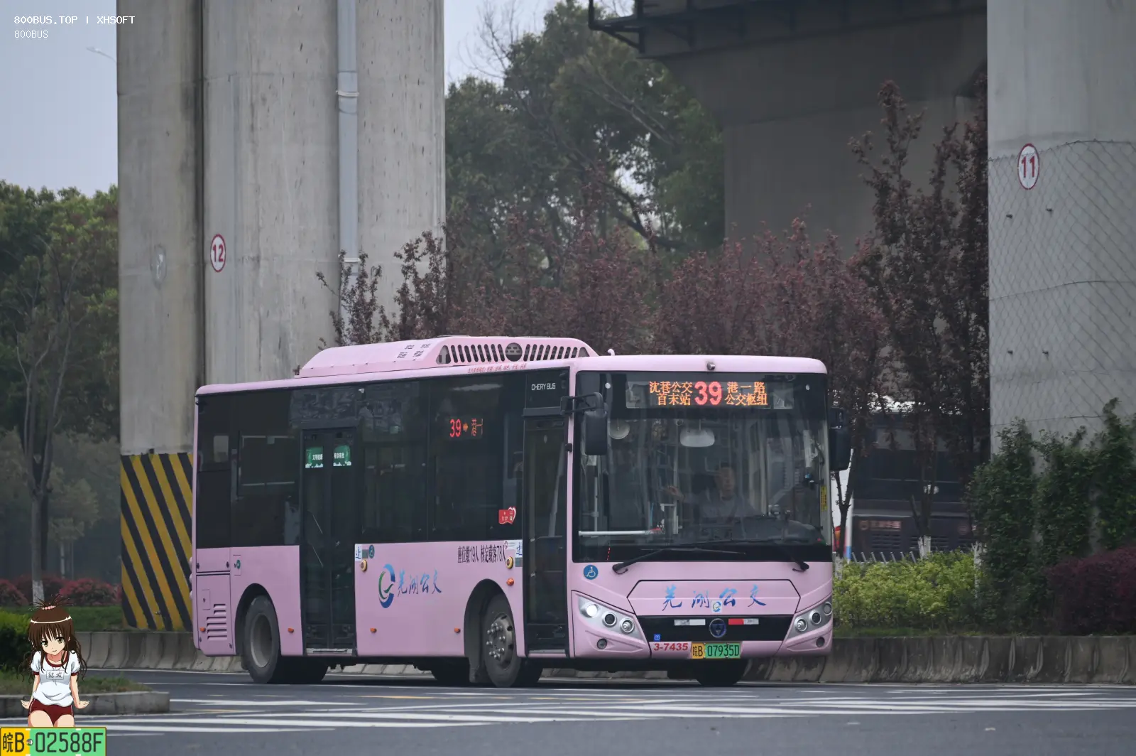 Bus Archive