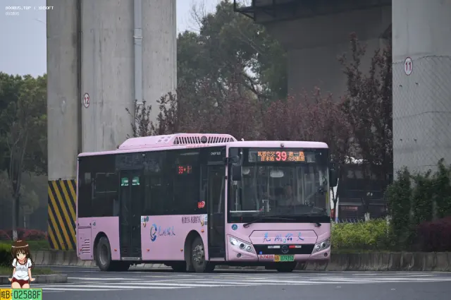 皖B.07935D
