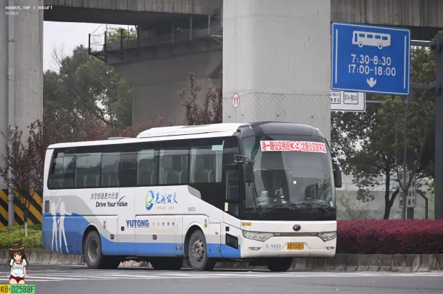 皖B.53453