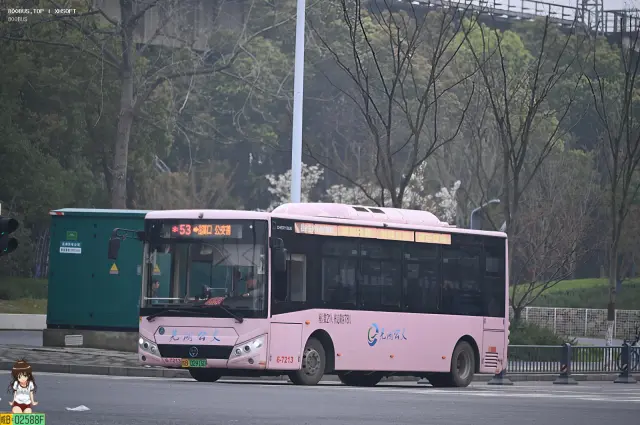 皖B.02916D