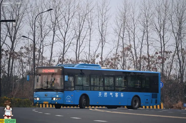 浙A.7L965