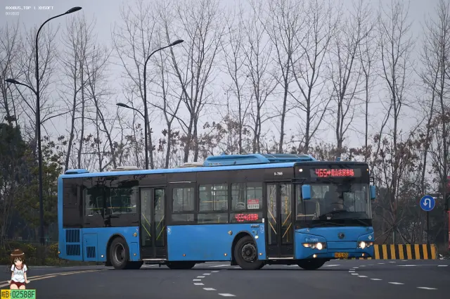 浙A.7L965