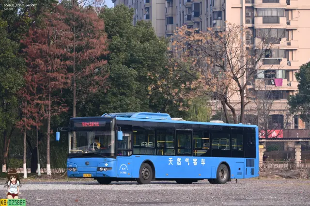 浙A.7L965