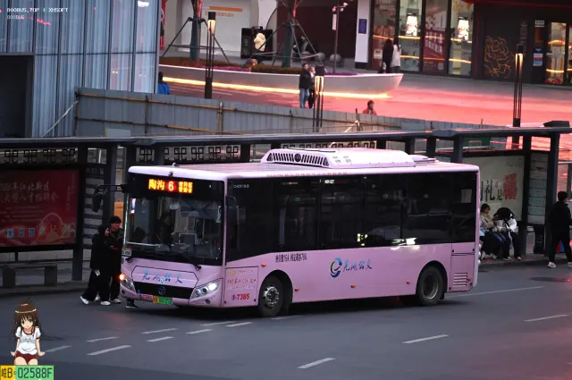皖B 08725D