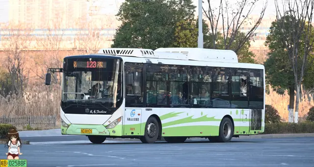 皖E 08975