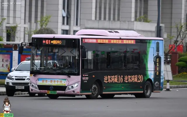 皖B.08206D