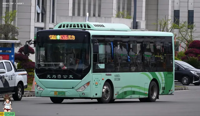 皖B.08993D