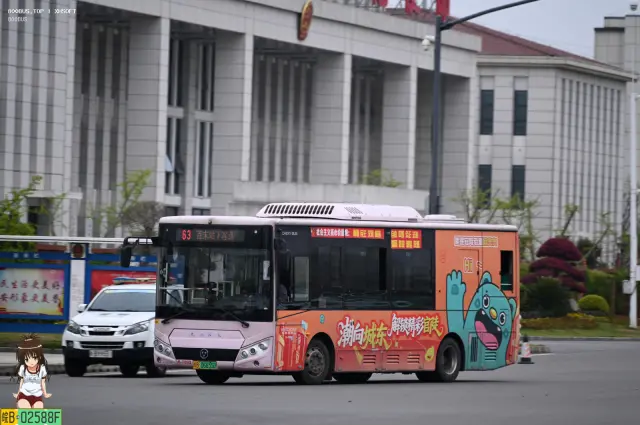 皖B.06655D
