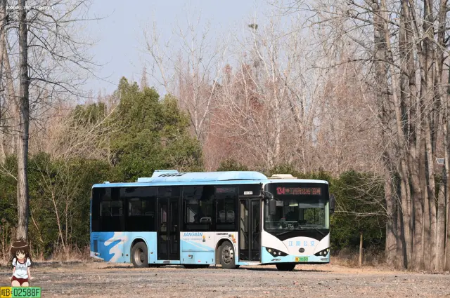 苏A.09169D