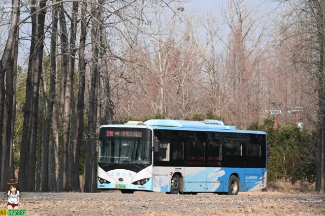 苏A.09169D