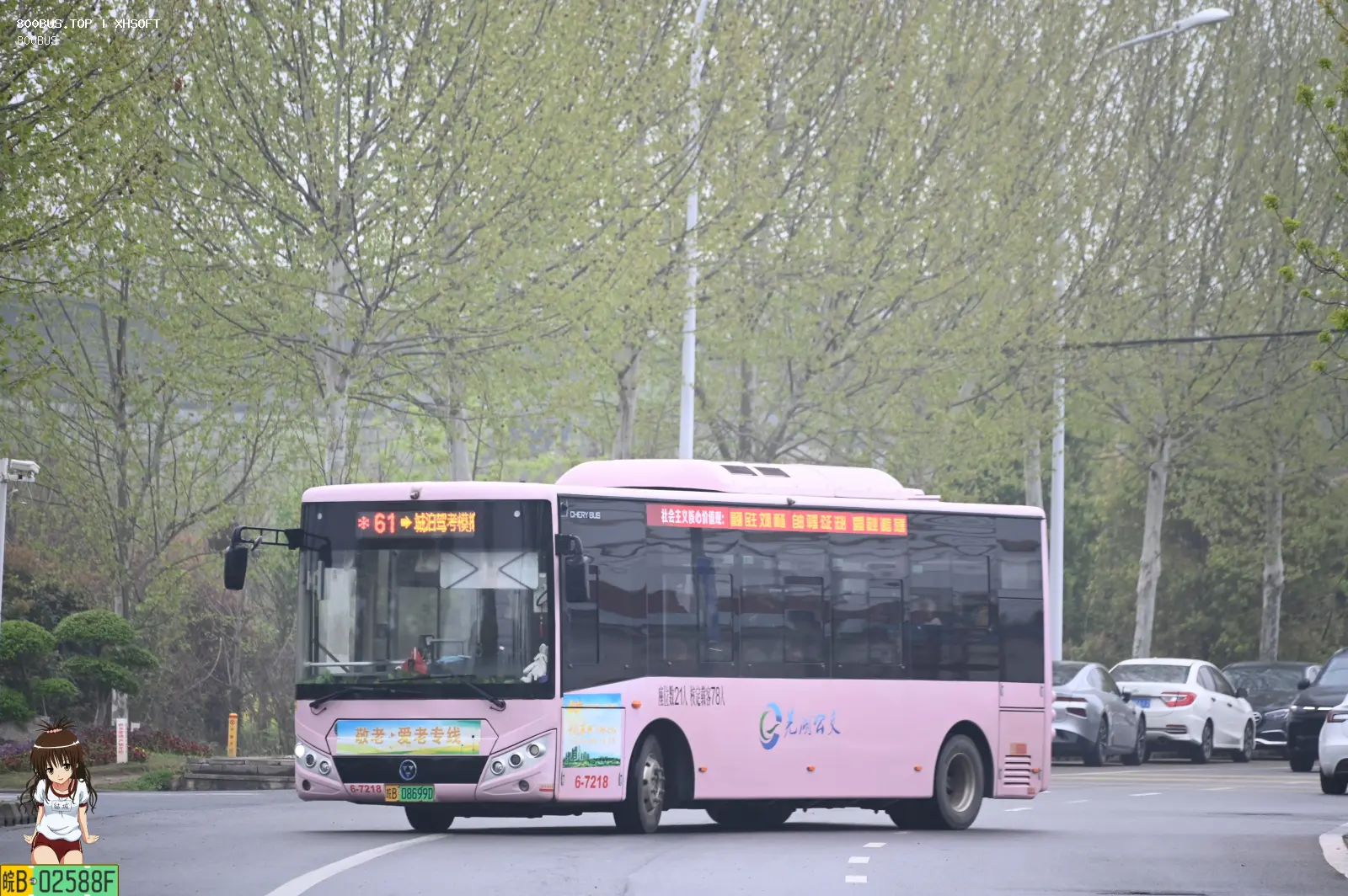 Bus Archive