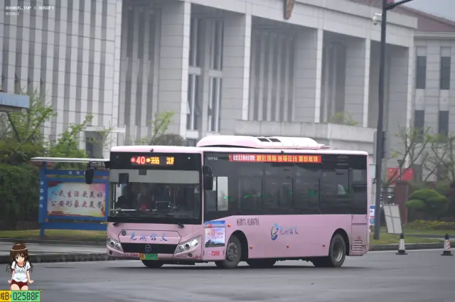 皖B.05895D