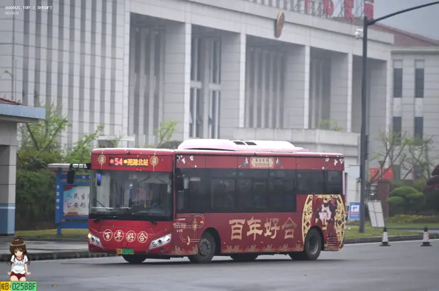 皖B.08202D
