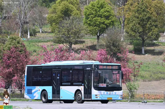 苏A.E8292