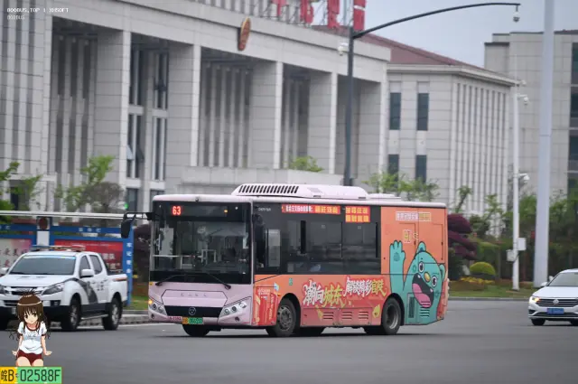皖B 06655D