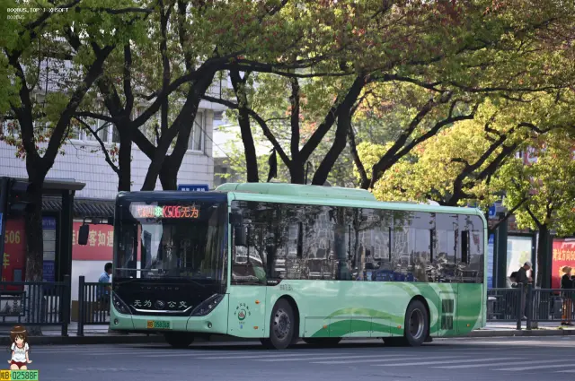 皖B 05816D