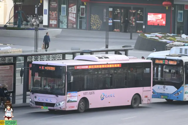 皖B 09206D