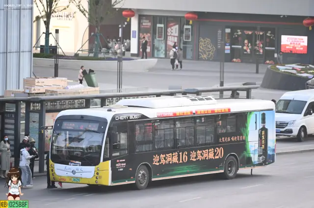 皖B 08229D