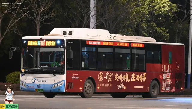 皖B 08276F