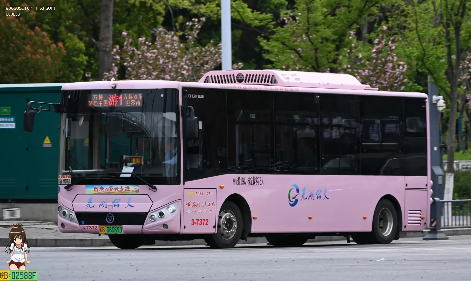 Bus Archive