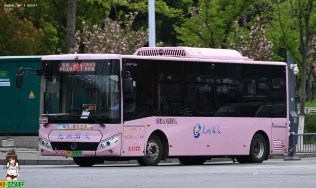 皖B 06065D