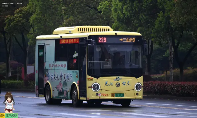 皖B 09373D