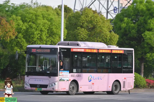 皖B 08098D