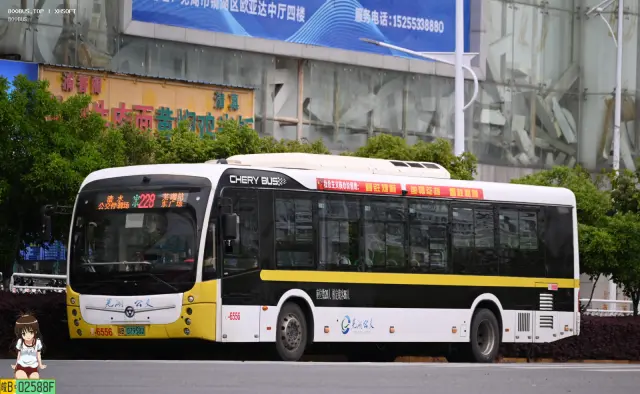 皖B 07958D