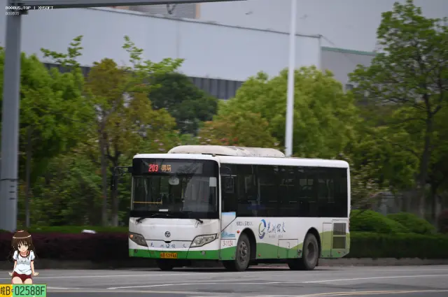 皖B 53946