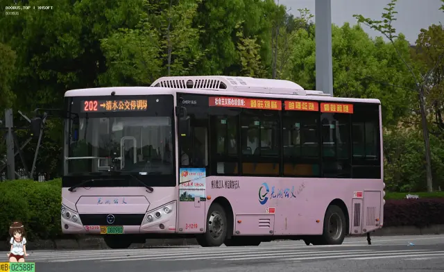 皖B 08098D