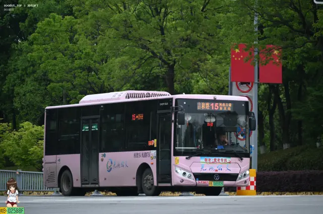800BUS
