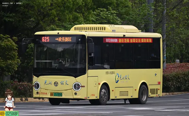 皖B 05789D