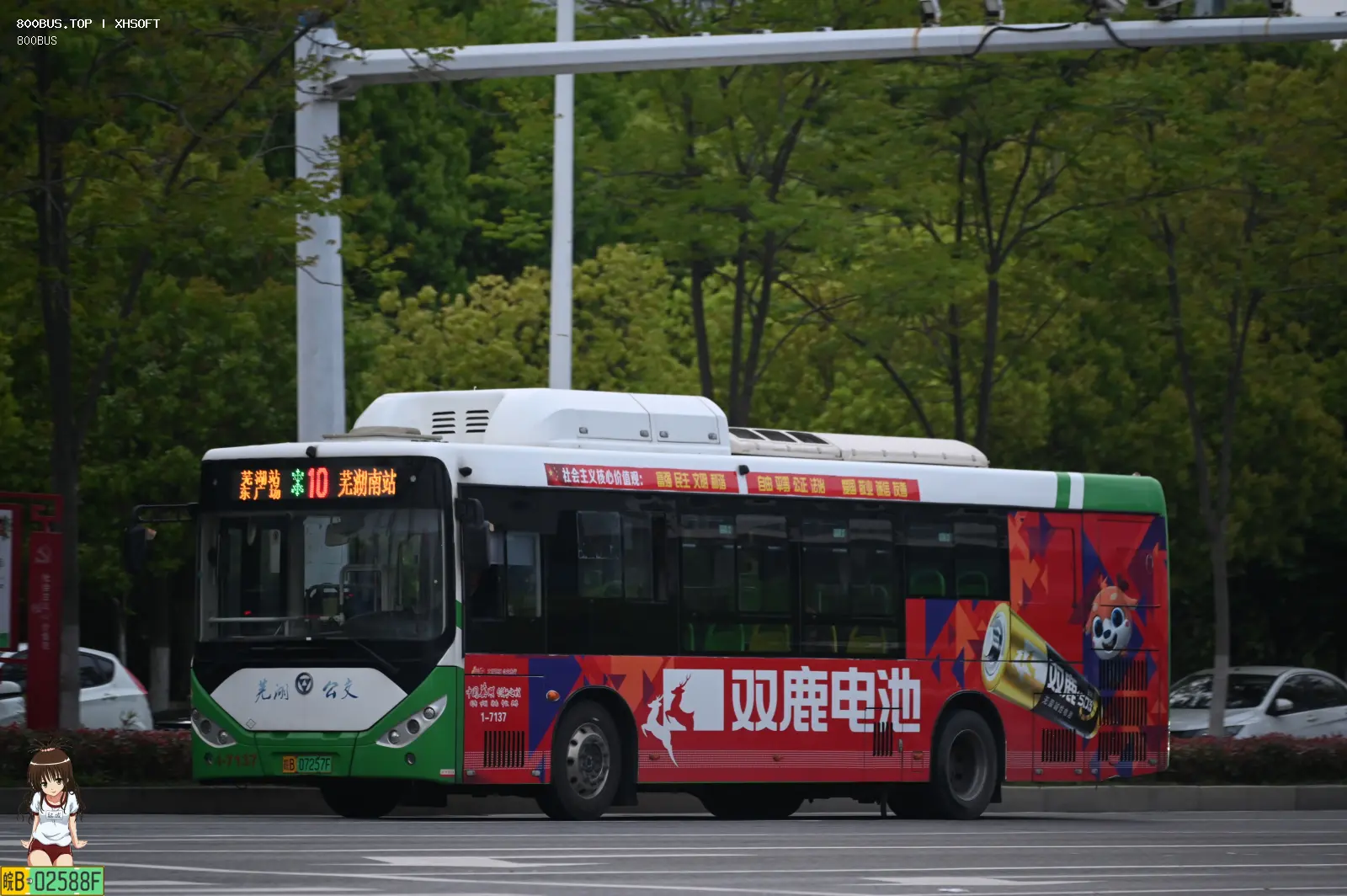 Bus Archive