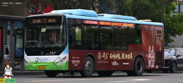 皖B 55555