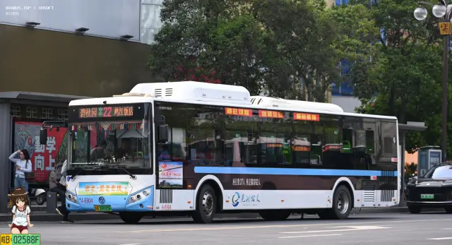 皖B 09515F