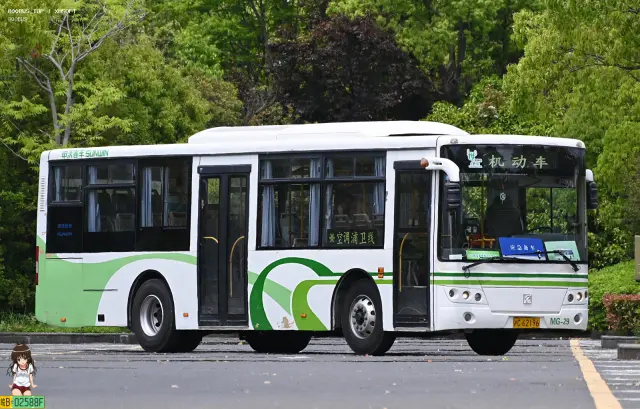 沪C 62196