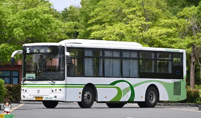沪C 62196