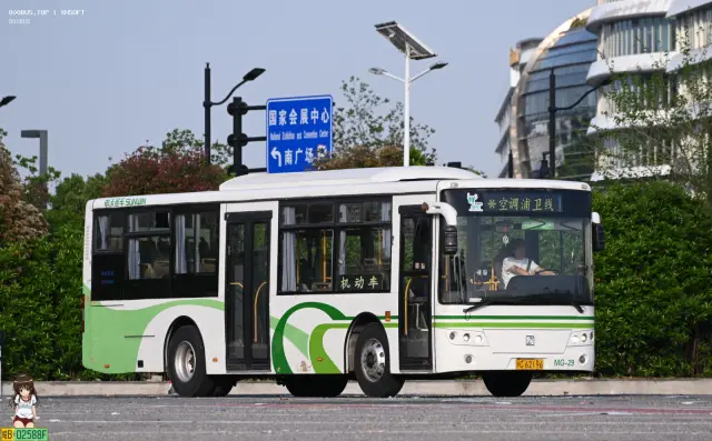 沪C 62196