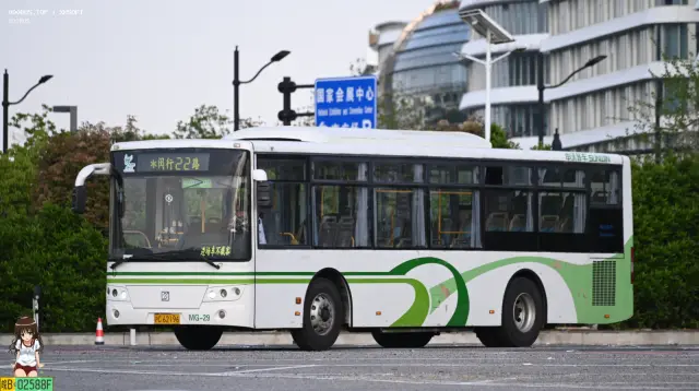 沪C 62196