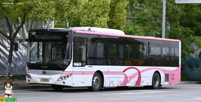 沪A 38583D