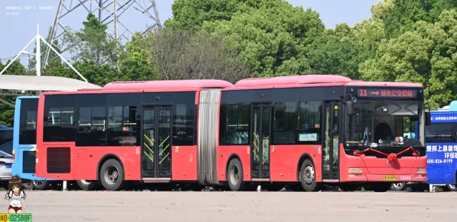 苏B B9898
