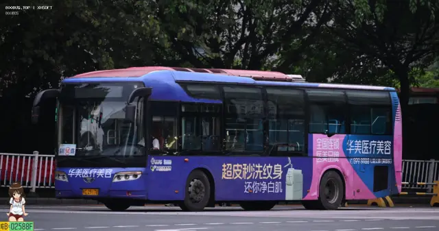 800BUS