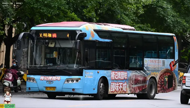 800BUS