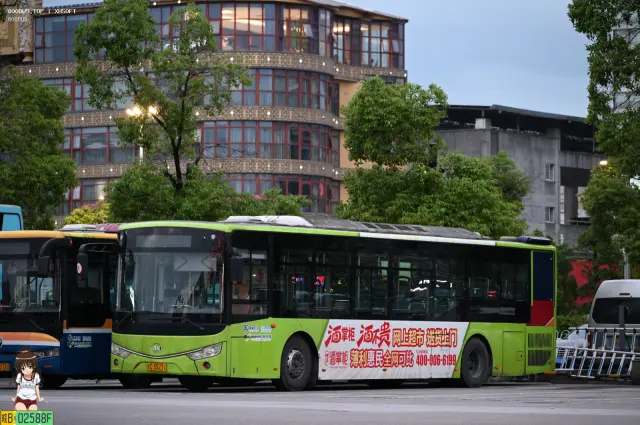 800BUS