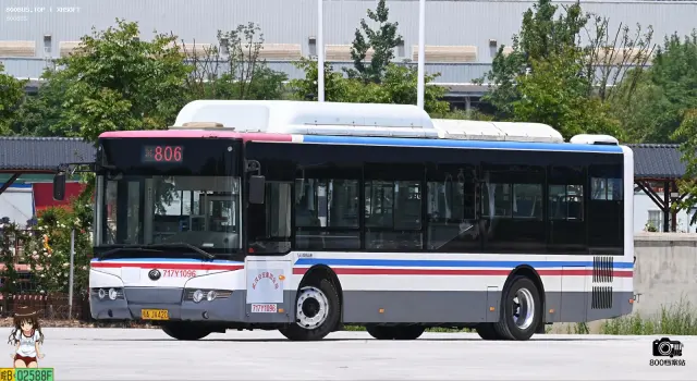800BUS