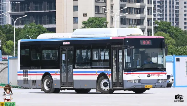 800BUS