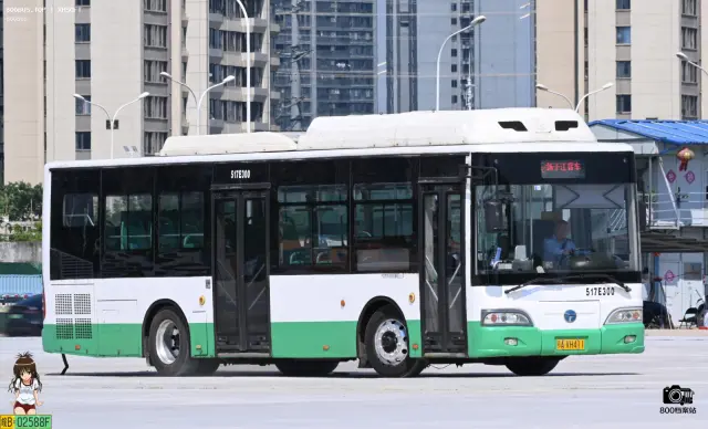 800BUS