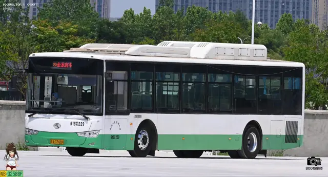 800BUS