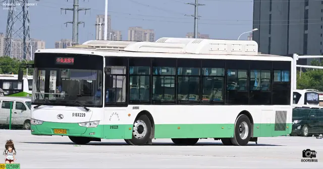 800BUS