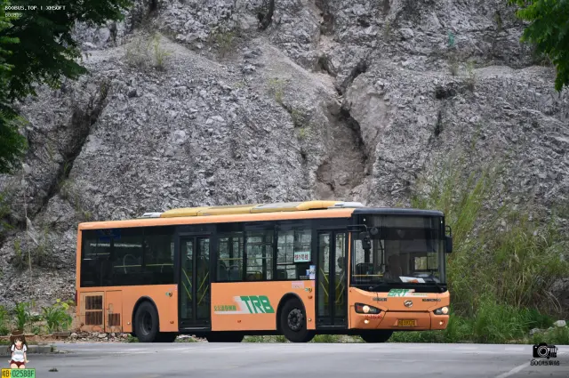 800BUS